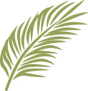 palm sunday clip art